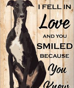 You Smiled And I Fell In Love Greyhound