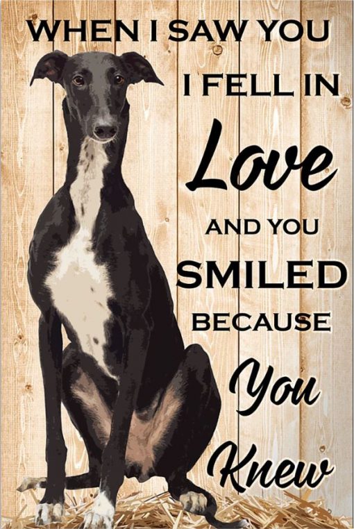 You Smiled And I Fell In Love Greyhound