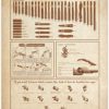 Cigar Knowledge Cigar Shapes And Sizes poster