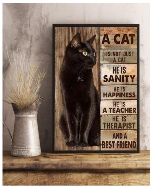 Cat is Sanity Happiness Teacher Therapist Best Friend