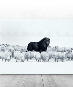 Black Lion Among Sheeps Poster