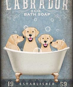 Labrador Bath Soap Established Wash Your Paws Poster