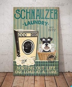 Schnauzer Dog Laundry Sorting Out Life Poster