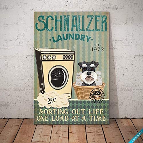 Schnauzer Dog Laundry Sorting Out Life Poster
