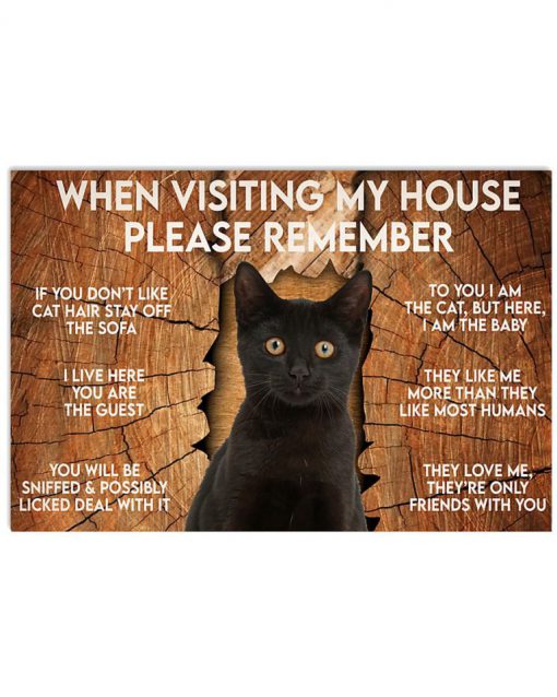 Cat Please Remember When Visit My House