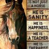 Horse Sanity Happiness Teacher Therapist Best Friend