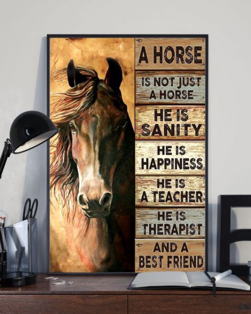 Horse Sanity Happiness Teacher Therapist Best Friend