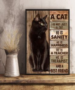 Not Just A Cat He Is Sanity Happiness Therapist