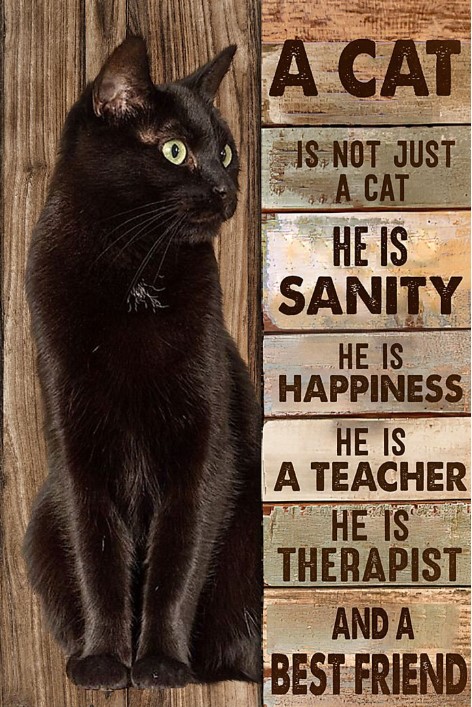 Not Just A Cat He Is Sanity Happiness Therapist