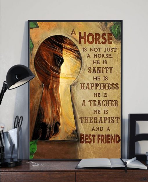 Not Just Horse Sanity Happiness Teacher Friend
