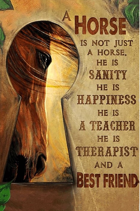 Not Just Horse Sanity Happiness Teacher Friend