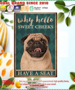 Pug Why Hello Sweet Cheeks Have A Seat