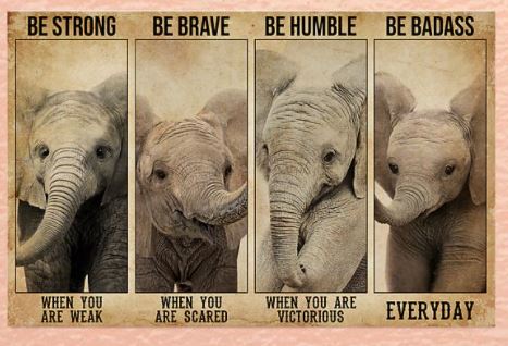 Elephant Be Strong Brave Humble Badass Everyday