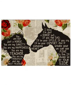 You are not just a horse you are my sanity happiness teacher therapist poster
