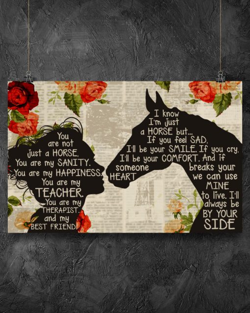 You are not just a horse you are my sanity happiness teacher therapist posterz