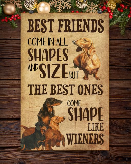 Best friends come in all shapes and size but the best ones come shape like wieners Dachshund posterc