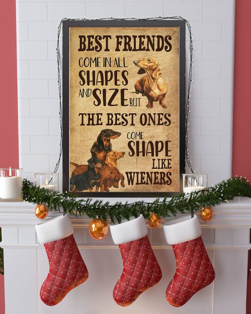 Best friends come in all shapes and size but the best ones come shape like wieners Dachshund posterx