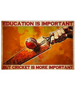 Education is important but cricket is more important poster