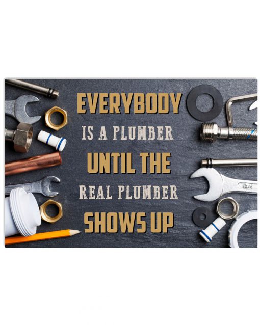 Everybody Is A Plumber Real Plumber Shows Up Poster