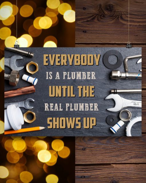 Everybody Is A Plumber Real Plumber Shows Up Posterc