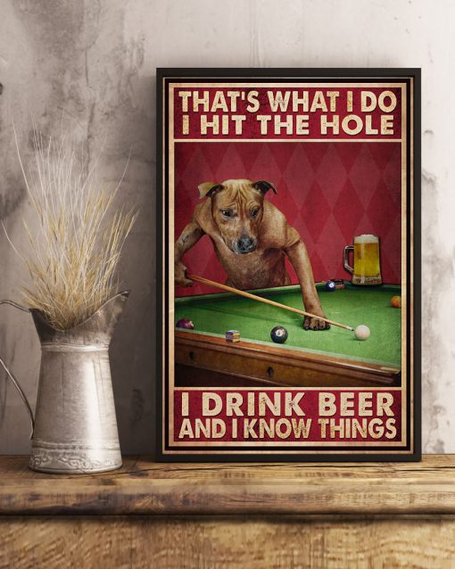 That's what I do I hit the hole I drink beer and I know things Billiard Dog posterx