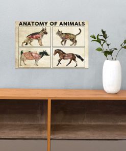 Anatomy Of Animals Posterc