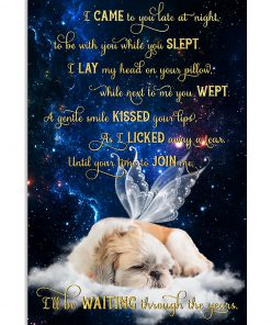 Shih Tzu I Came To You Late At Night To Be With You While You Slept Poster