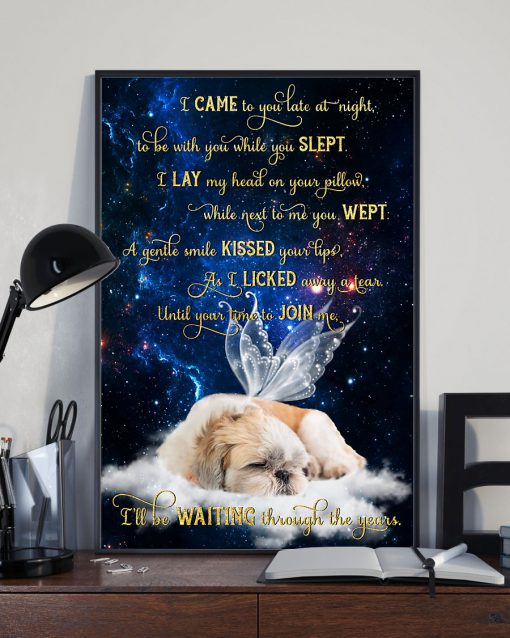 Shih Tzu I Came To You Late At Night To Be With You While You Slept Posterz