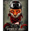 Easily Distracted By Foxes And Motorcycles Poster
