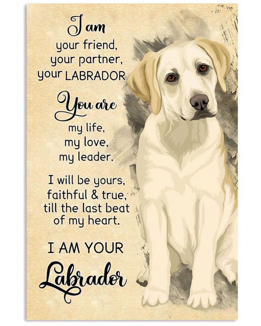 Labrador I Am Your Friend Your Partner Your Labrador Poster