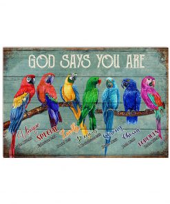 Parrots God Says You Are Poster