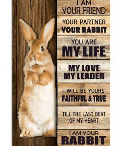 Rabbit I Am Your Friend You Partner Poster