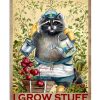 Raccoon That's What I Do I Grow Stuff And I Know Things Poster
