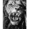 Black Girl With Lion Black And White Poster