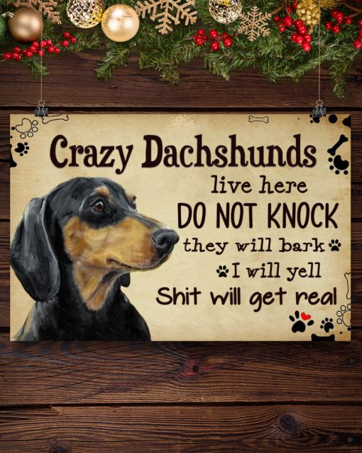 Crazy Dachshunds Live Here Do Not Knock They Will Bark I Will Yell Shit Will Get Real Poster c