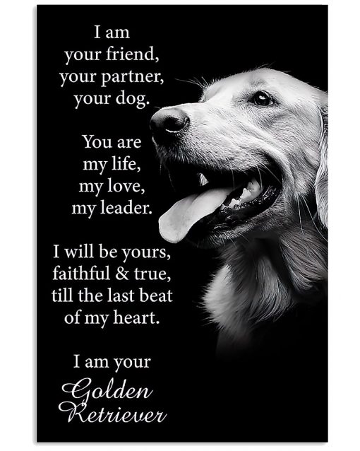 Golden Retriever I Am Your Friend Your Partner Your Dog Poster