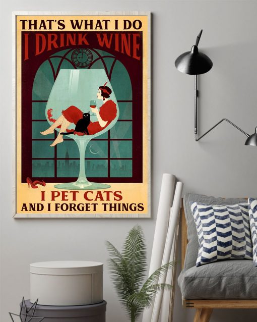 That What I Do I Drink Wine I Pet Cat Poster z