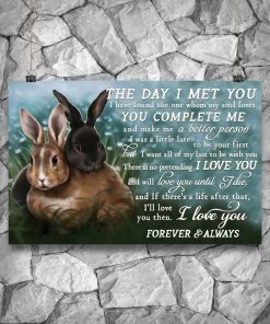 All Over Print Rabbits Couple The Day I Met You You Complete Me Poster