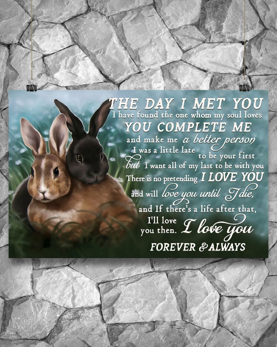 3D Rabbits Couple The Day I Met You You Complete Me Poster