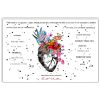 Main Function Heart Cardiologist Poster