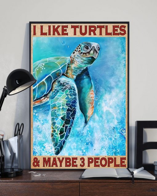 Clothing I Like Turtles And Maybe 3 People Poster