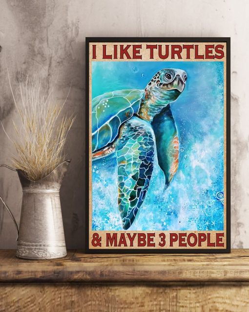 Hot Deal I Like Turtles And Maybe 3 People Poster