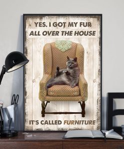 Great artwork! Cat I Got My Fur All Over The House Poster