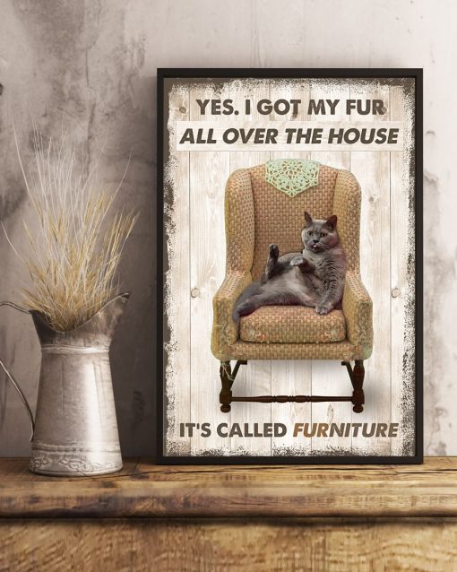 Very Good Quality Cat I Got My Fur All Over The House Poster
