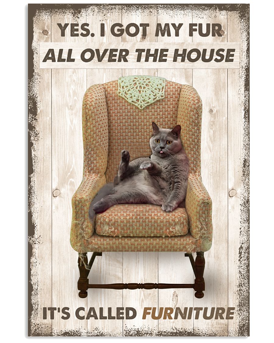 Cat I Got My Fur All Over The House Poster